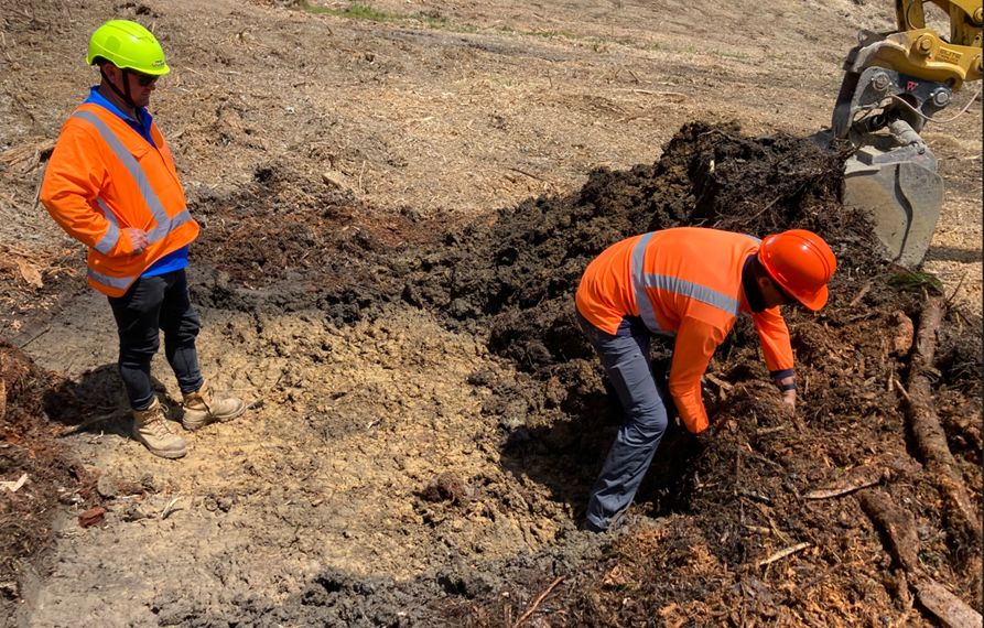Soil Duff