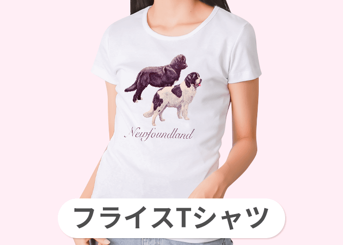 フライスTシャツ(6.2オンス)
