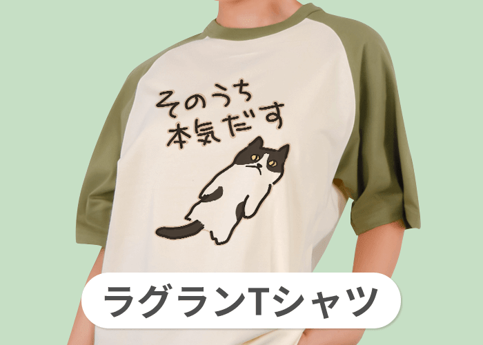 ラグランTシャツ