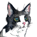 Hachiwaredesign