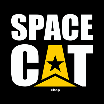 SPACE CAT