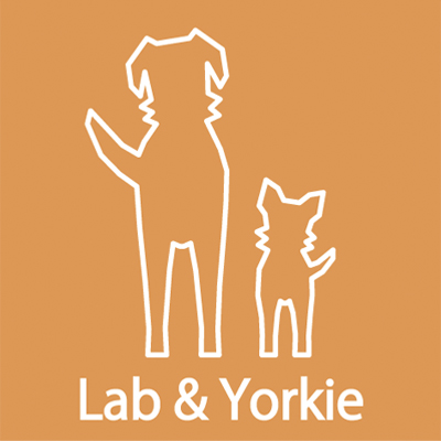 Lab & Yorkie