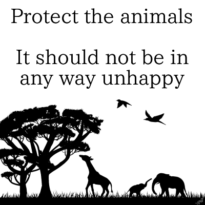 Protect the animals