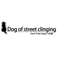 Dog of street clinging
