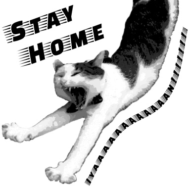 STAY HOME CAT