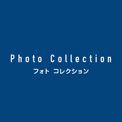 Photo Collection