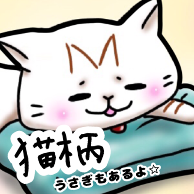 ねこ柄