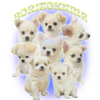 BORITOKUMA / PUPPYHOOD ASSEMBLE