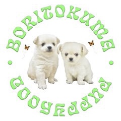 BORITOKUMA / PUPPYHOOD LOGO