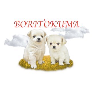 BORITOKUMA / PUPPYHOOD MEADOW