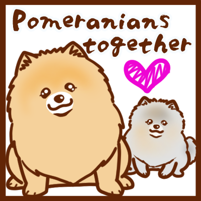 Pomeranians together