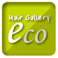 Hair Gallery eco