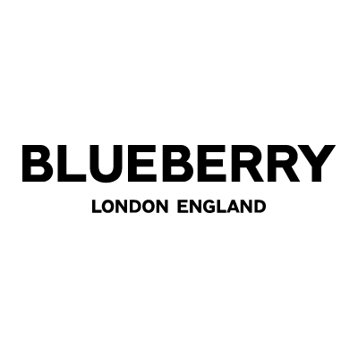 BLUEBERRY-ブルーベリー--