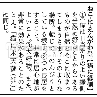 「猫に縁側」の意味(正方形)