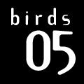 birds05