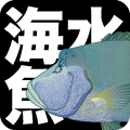 海水魚