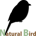 Natural Bird