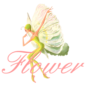 Flower Fairy