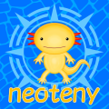 neoteny