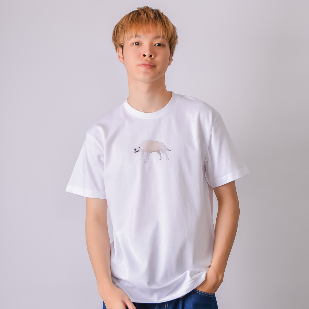 シベリアンハスシー（&yen;2,706）