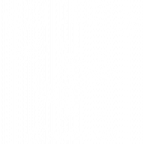 アメリカンレトロ キャラクター チキン デザインtシャツ通販 Tシャツトリニティ