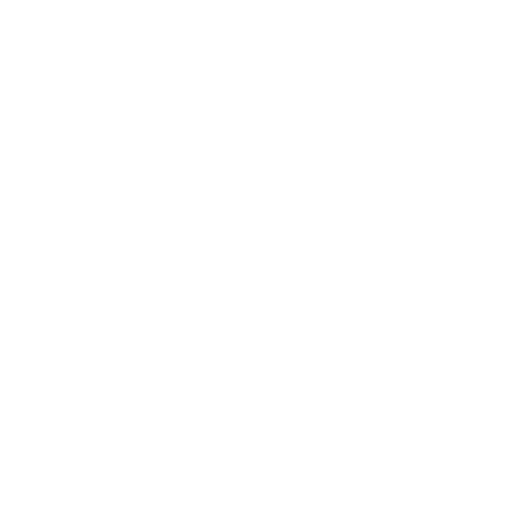 NO LIFE NO LIFE