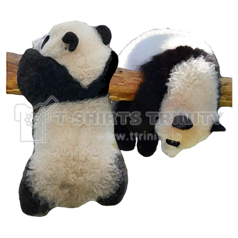 panda_2022