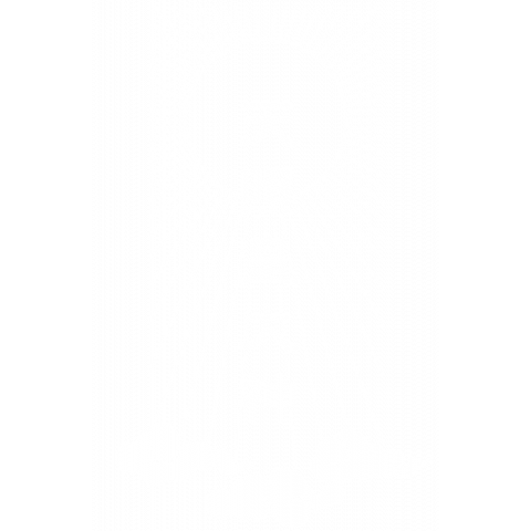 天照皇大神