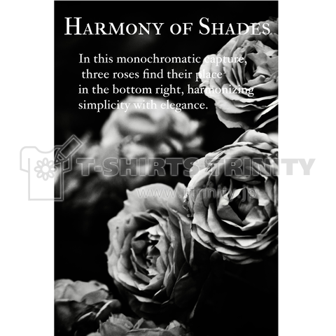 Harmony of Shades