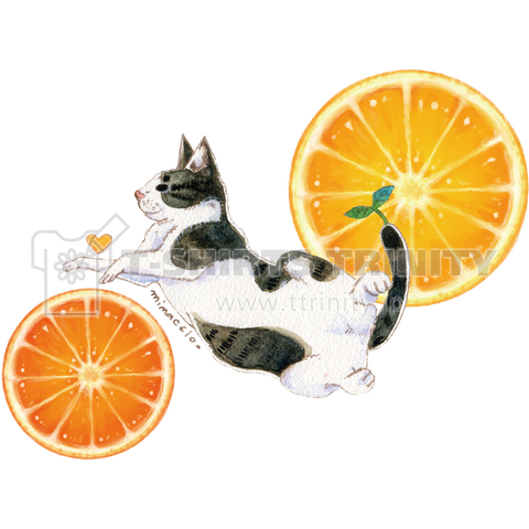 猫とオレンジ