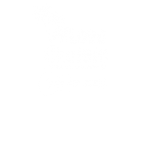 I LOVE UKULELE