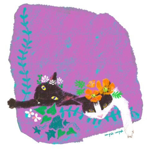 cat's & flower