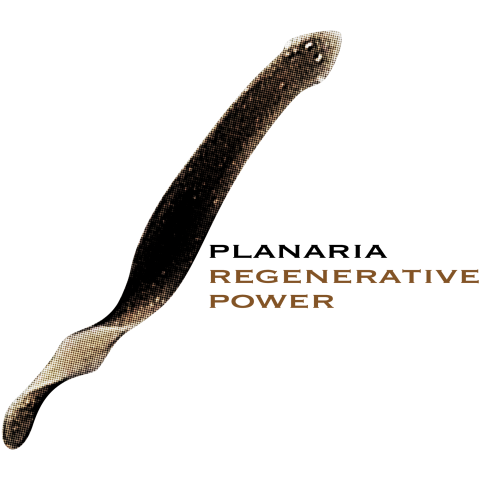 プラナリア 再生力 Planaria Regenerative Power デザインtシャツ通販 Tシャツトリニティ