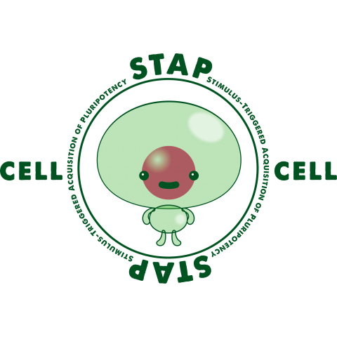 STAP細胞 キャラクター囲みデザイン