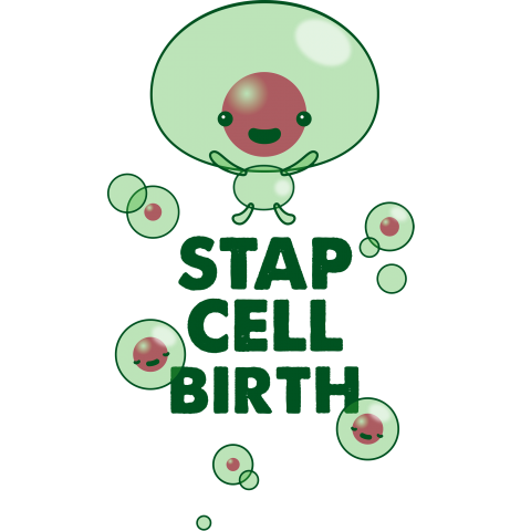 STAP細胞 キャラクター STAP細胞誕生!