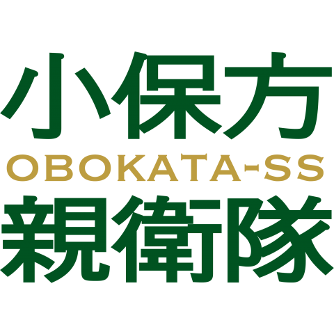 両面デザイン 小保方親衛隊 デザインtシャツ通販 Tシャツトリニティ