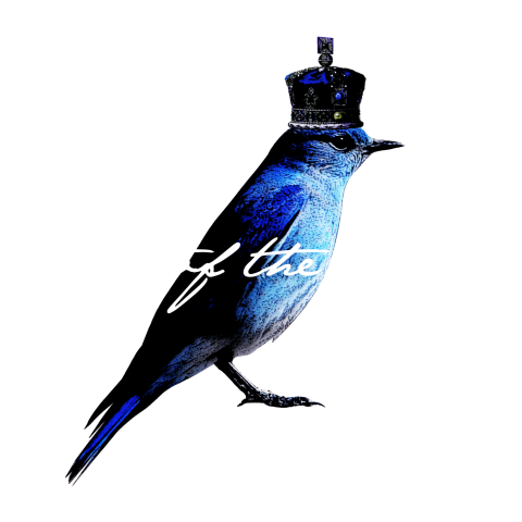 青い鳥と王冠~Tweet of the Queen~