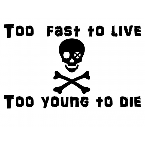 Too fast to live Too young to die