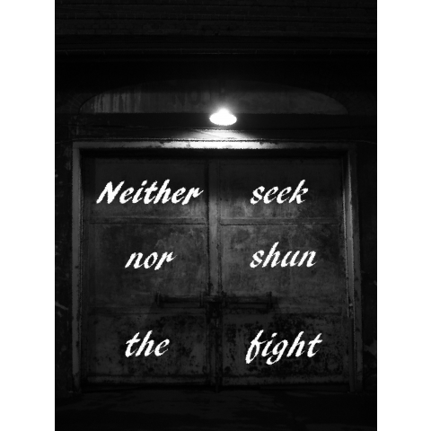 Neither seek nor shun the fight