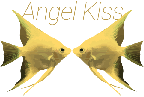 Angel Kiss デザインtシャツ通販 Tシャツトリニティ