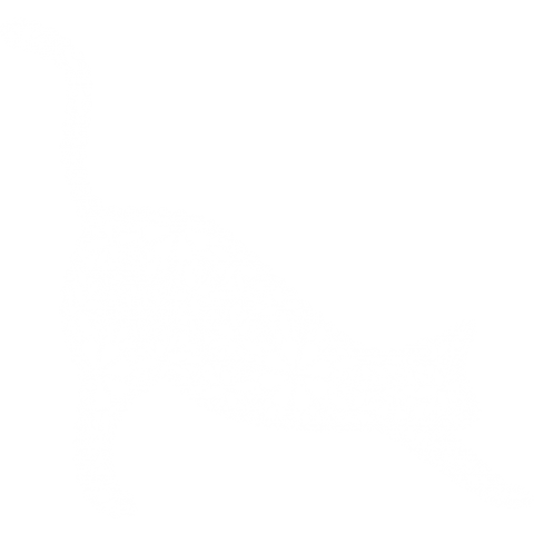 LACE CAT