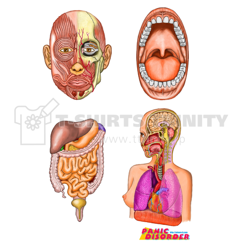 人体解剖図 デザインtシャツ通販 Tシャツトリニティ