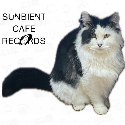 2026Van-Cat