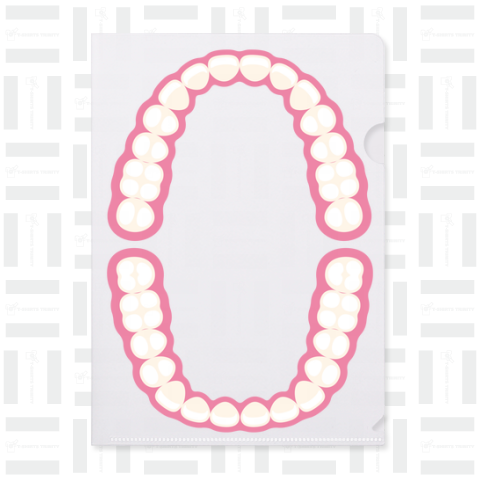 綺麗に並んだ人間の歯列 歯型