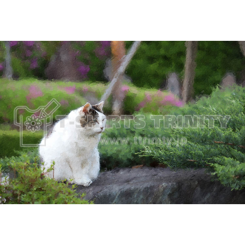 猫との想い出2 油絵風