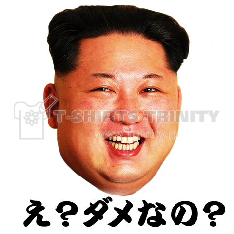 【金正恩シリーズ】え?ダメなの?