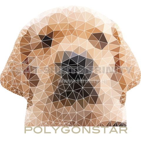 polygonstar