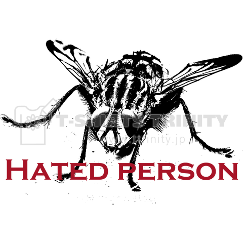 hated person-ハエ-