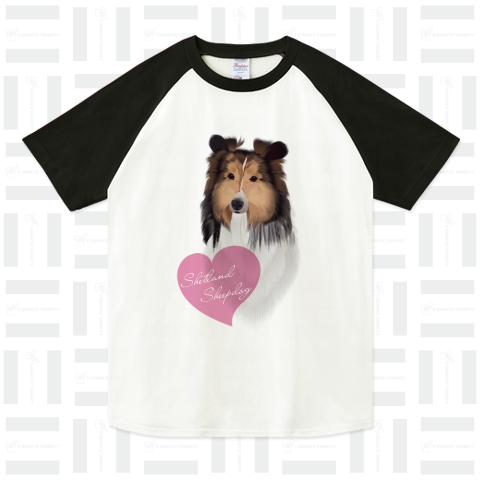 Shetland Sheepdog(シェルティ)