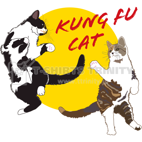 Kung fu cat